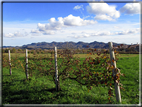 foto Colli Asolani in Autunno